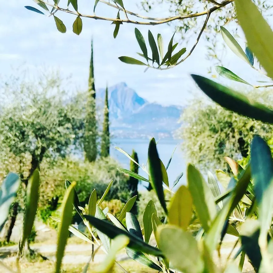 Maison Balu Villa Torri Del Benaco